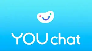  YouChat (You.Com)